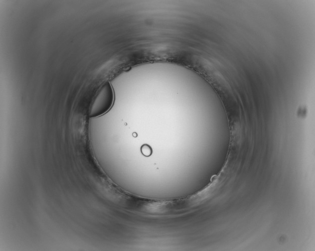 X0000096140178200802011218