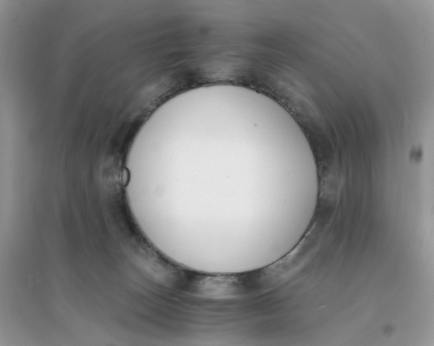 X0000096140179200802011218