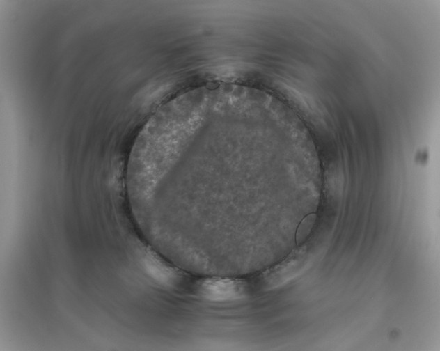 X0000096140181200802011218