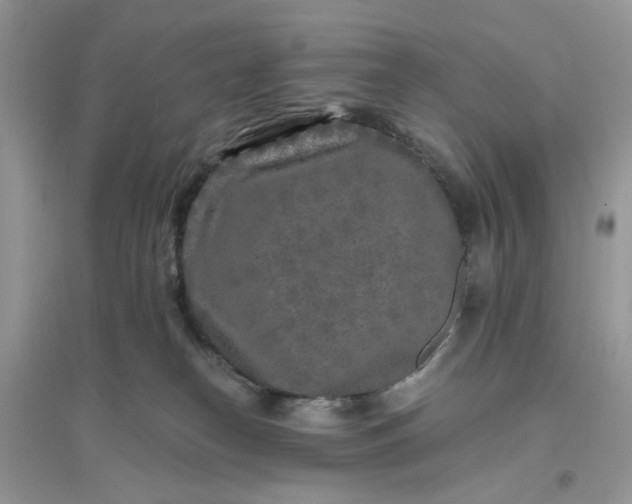 X0000096140182200802011219
