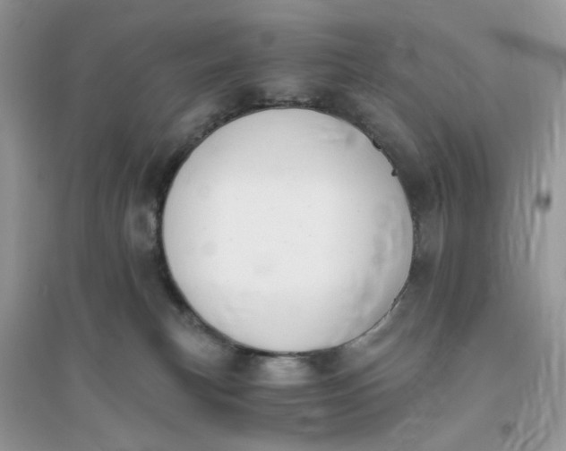 X0000096140183200802011219