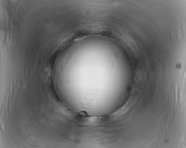 X0000096140184200802011219