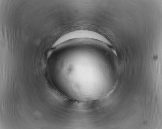 X0000096140186200802011219