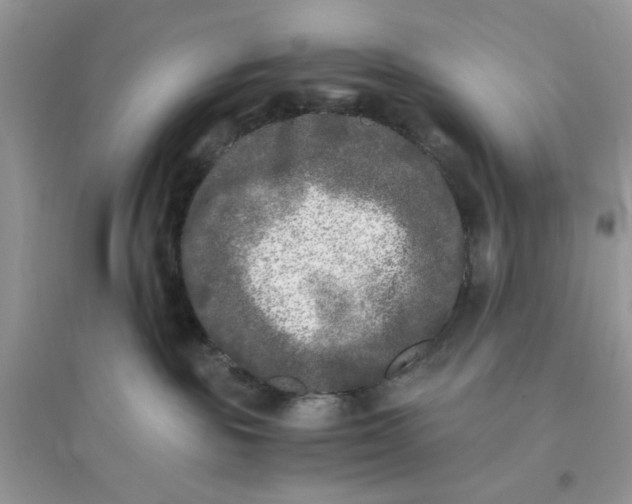 X0000096140189200802011219