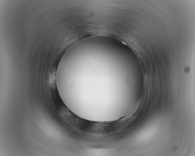 X0000096140190200802011219