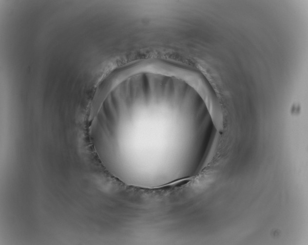 X0000096140192200802011219