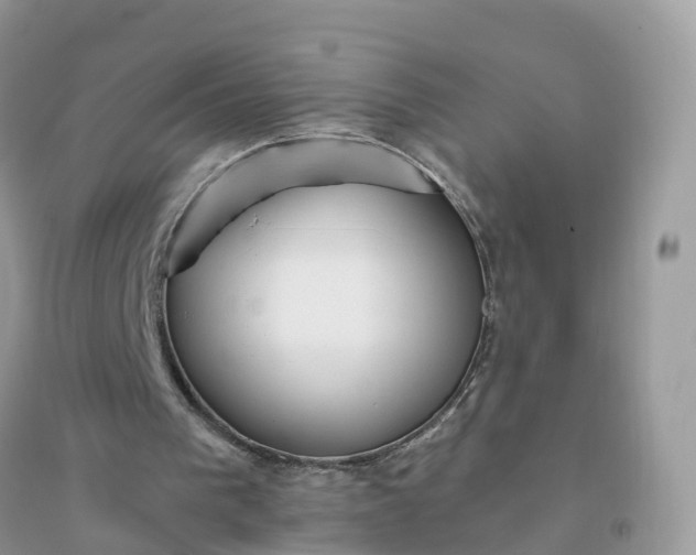 X0000096140193200802011218