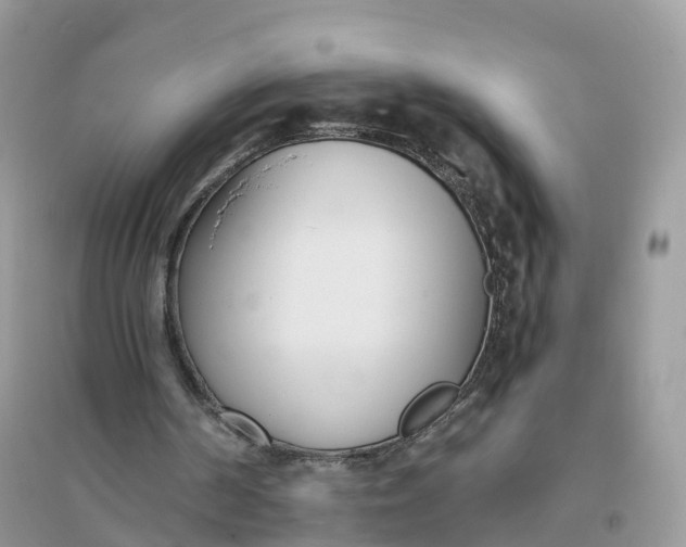 X0000096140194200802011218