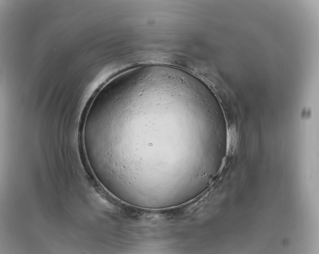X0000096140195200802011218
