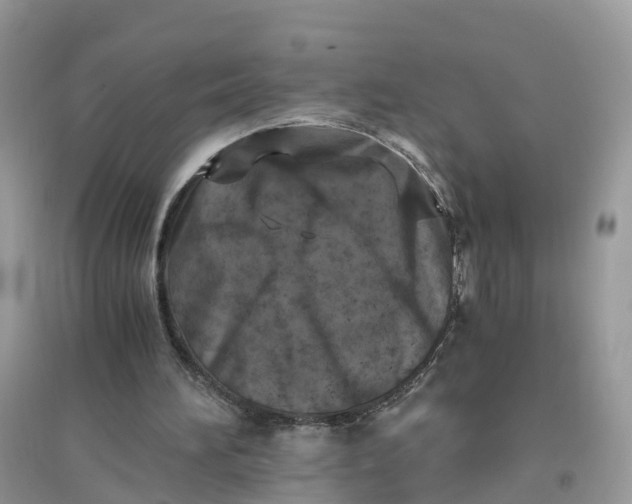 X0000096140196200802011218