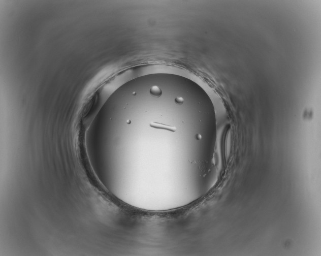 X0000096140197200802011218