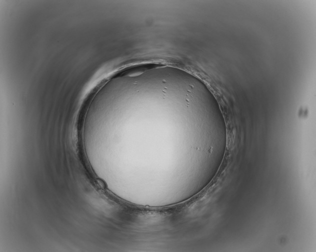 X0000096140198200802011218