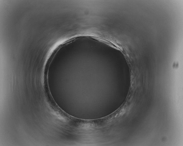 X0000096140200200802011218