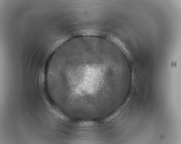 X0000096140202200802011218