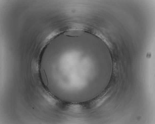 X0000096140203200802011218