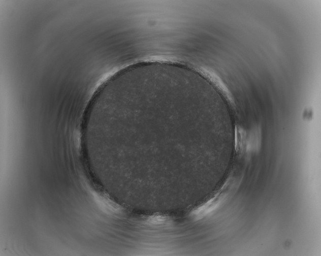 X0000096140204200802011218
