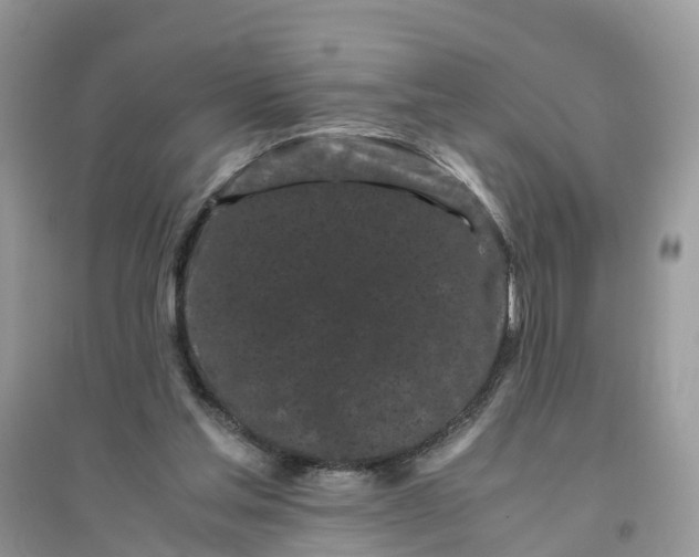 X0000096140205200802011218