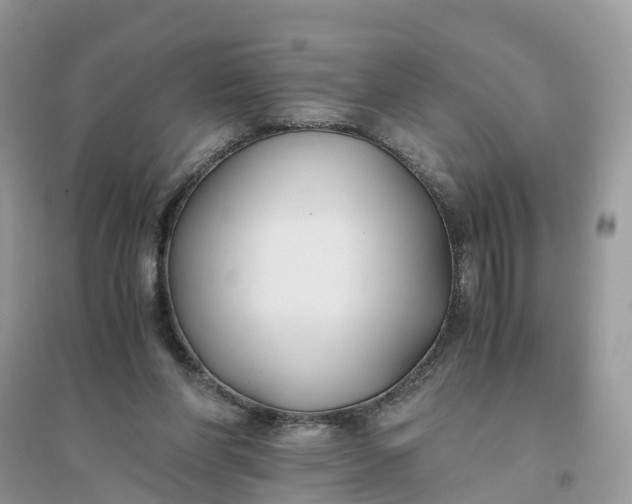 X0000096140206200802011218