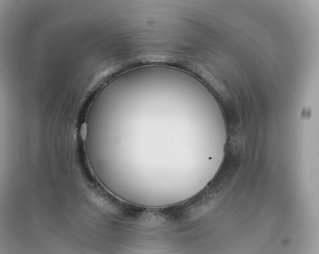 X0000096140207200802011218
