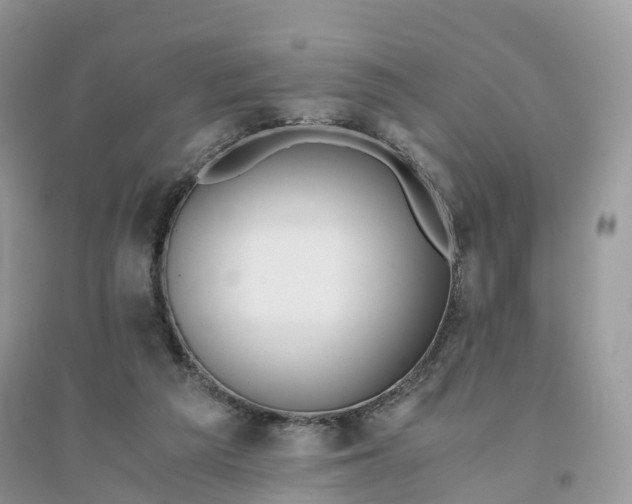 X0000096140209200802011218
