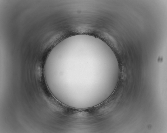 X0000096140210200802011218