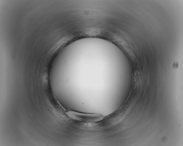 X0000096140212200802011218