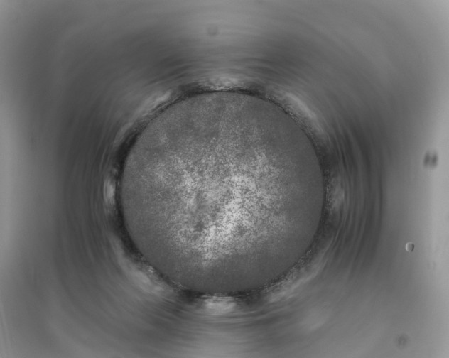 X0000096140214200802011218