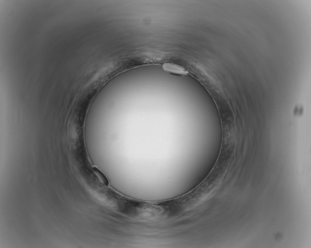 X0000096140215200802011218