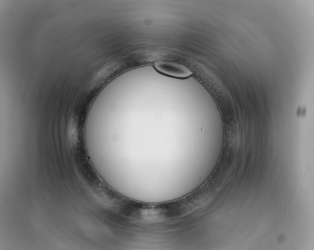 X0000096140216200802011218
