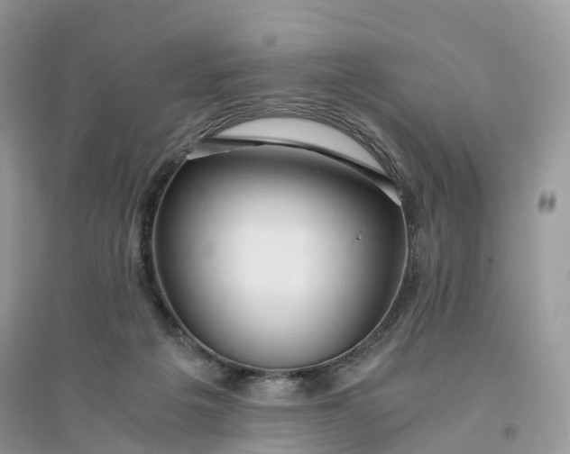X0000096140217200802011218