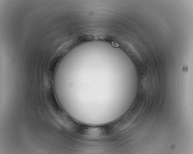 X0000096140218200802011218