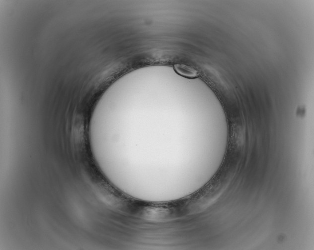 X0000096140220200802011218