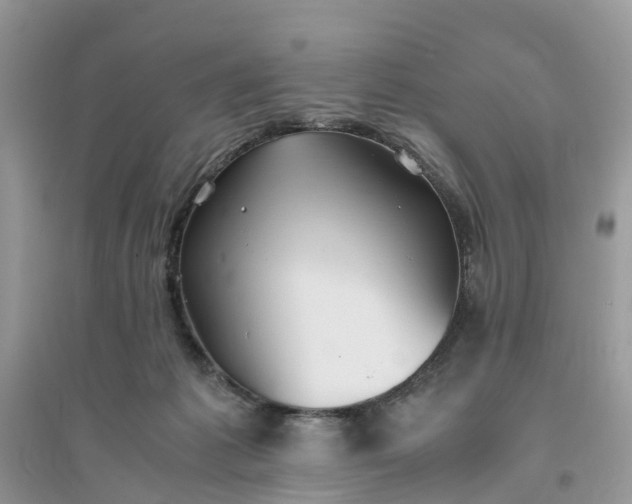 X0000096140221200802011218