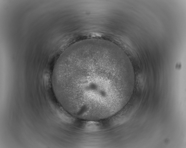 X0000096140222200802011218