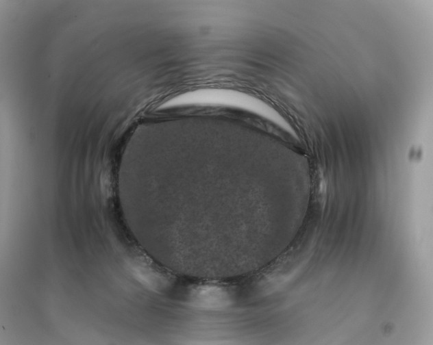 X0000096140224200802011218