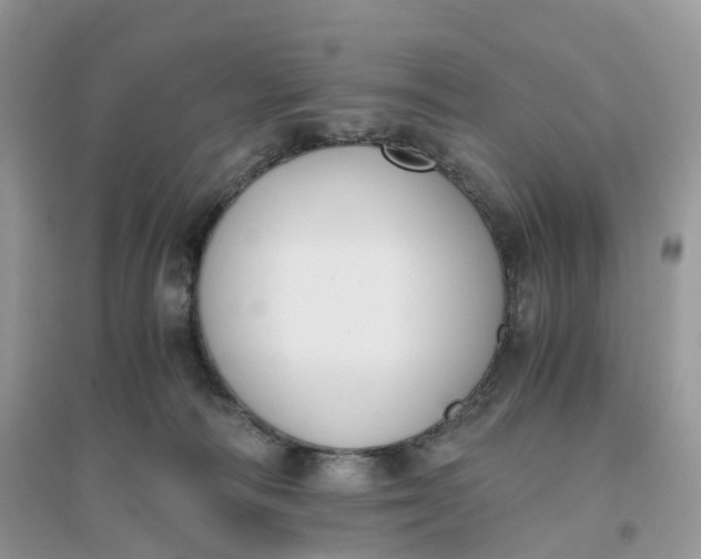X0000096140226200802011218