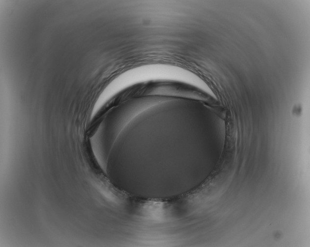 X0000096140227200802011218