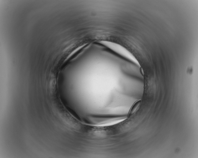 X0000096140228200802011217
