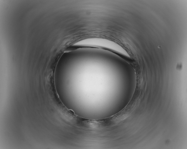 X0000096140229200802011217