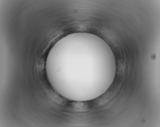 X0000096140230200802011217