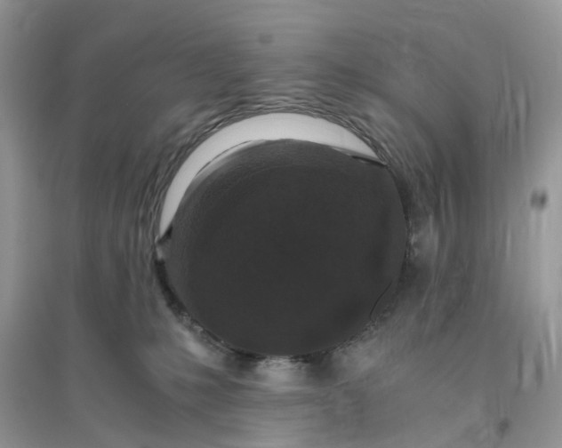 X0000096140231200802011217