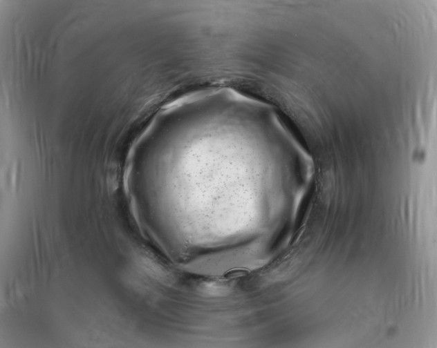 X0000096140232200802011217