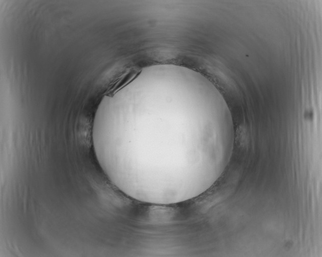X0000096140234200802011217