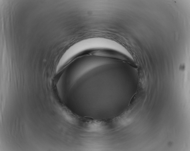 X0000096140235200802011217