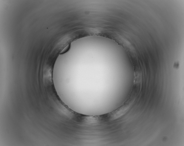 X0000096140238200802011217