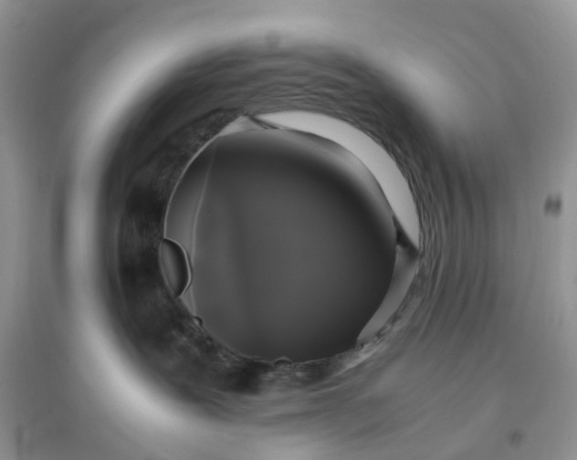 X0000096140239200802011217