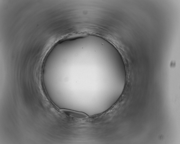X0000096140241200802011217