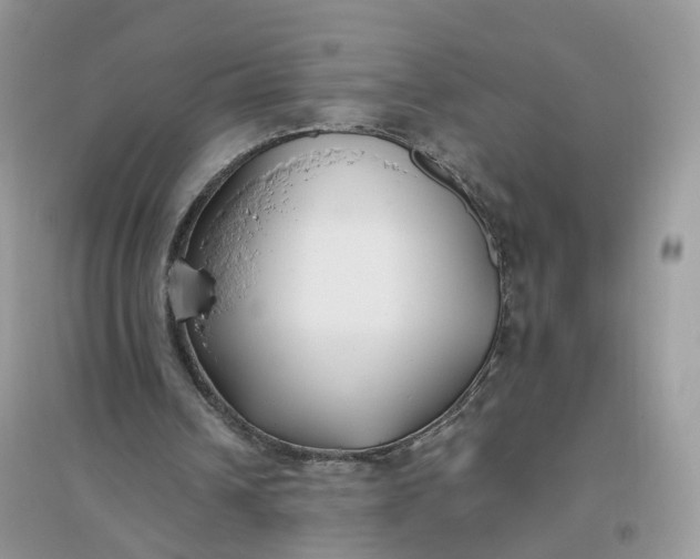 X0000096140242200802011217