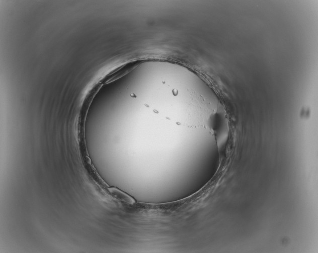 X0000096140244200802011217