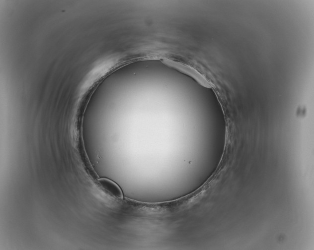 X0000096140245200802011217